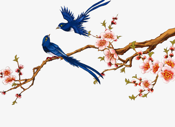 透明梅花树枝上的喜鹊png图片