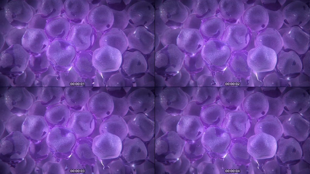 细胞动画视频素材