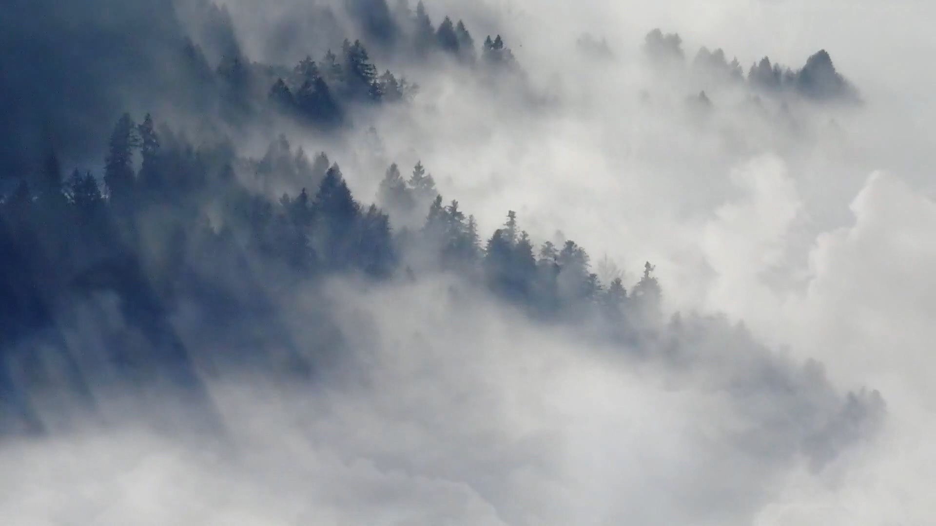 清晨烟雾环绕的山林农村视频