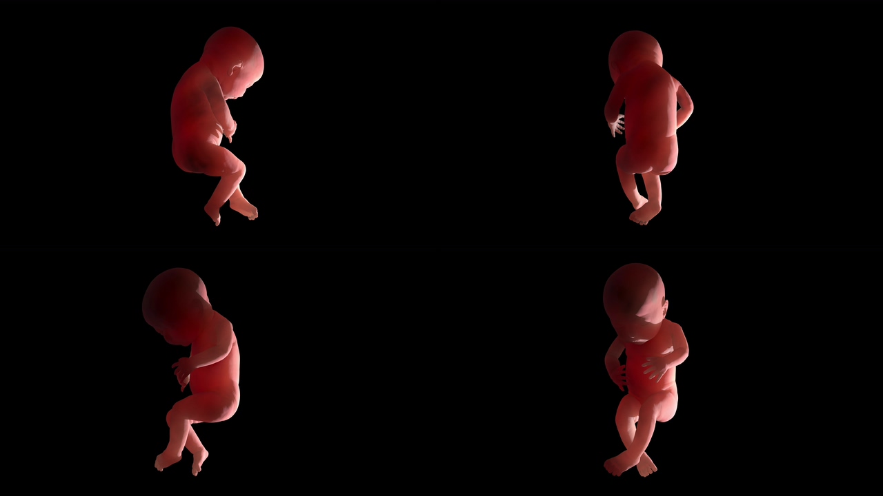 4K婴儿3D动画演示视频素材