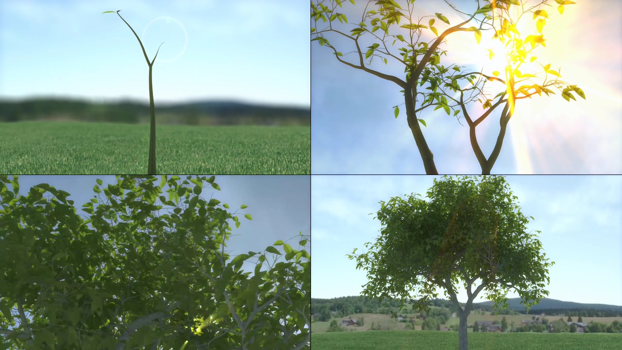 一棵树的生长动画视频素材