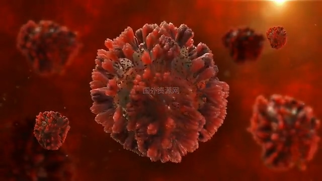 逼真的冠状病毒细胞