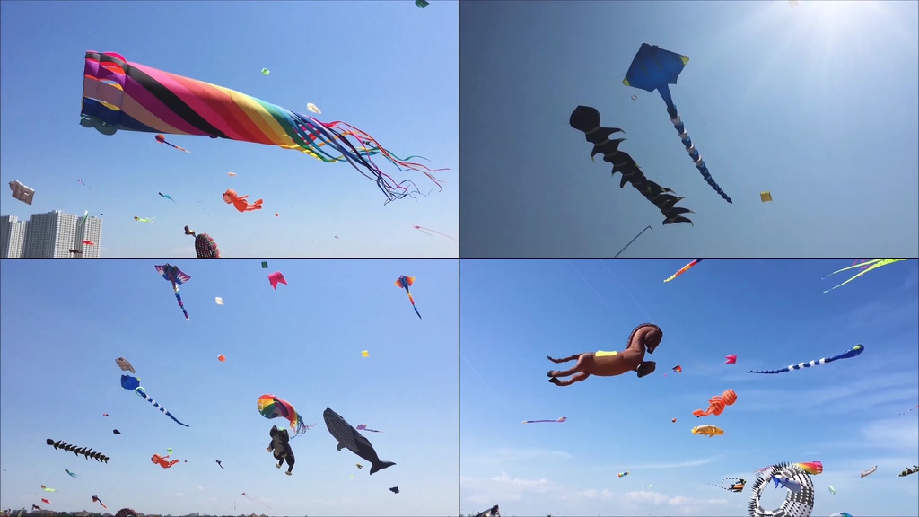 天上各式各样的风筝视频