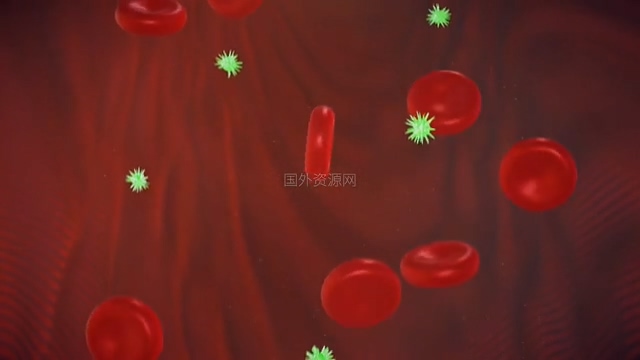 血液里的病毒细胞视频