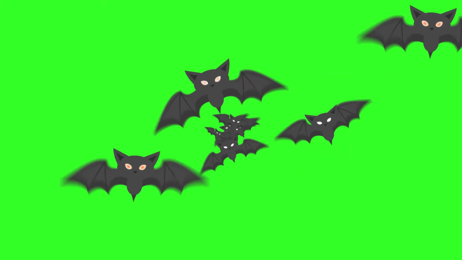 蝙蝠绿幕视频素材