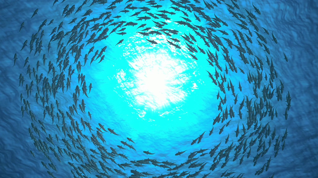 海底视角旋转的鱼群视频素材