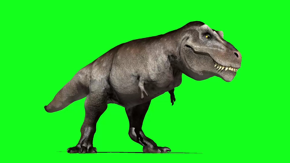 恐龙摇头视频素材