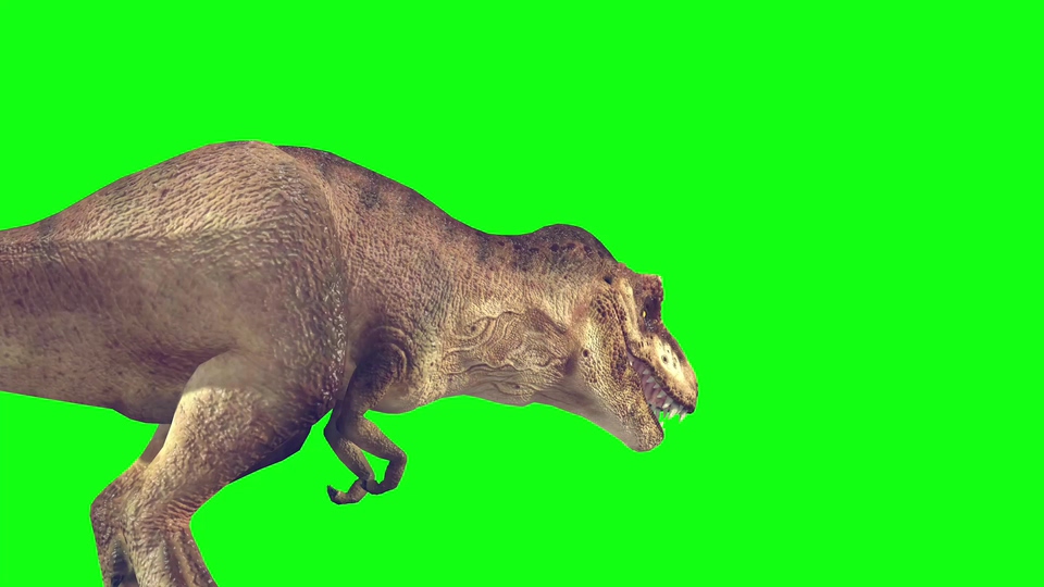 恐龙三组绿幕视频素材