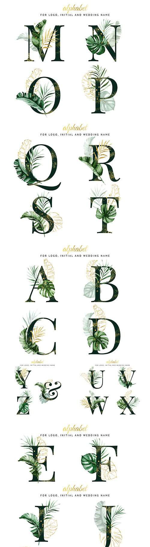 热带叶子的装饰字母表邀请设计矢量合集