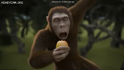 人类进化远古猿人视频素材完整版
