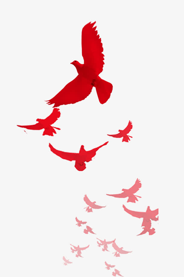 透明和平鸽群PNG图片