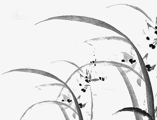 透明水墨画，国风，古风，草，蝴蝶PNG图片