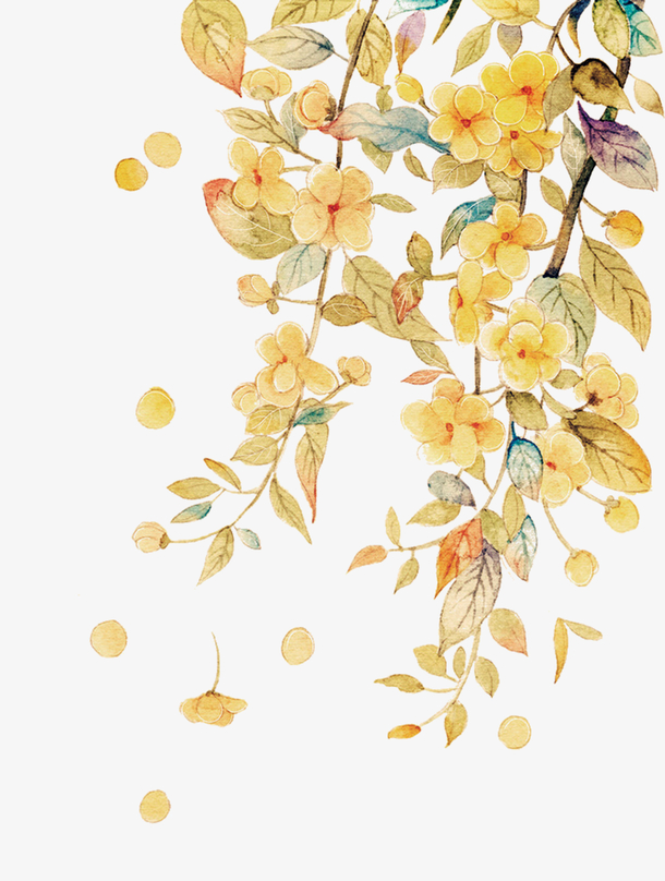 透明树枝手绘花枝装饰元素图PNG图片