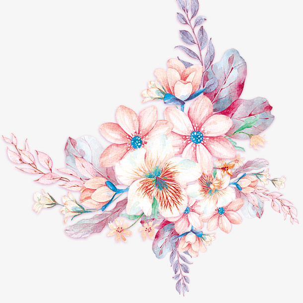 透明手绘水彩花朵花卉元素PNG图片