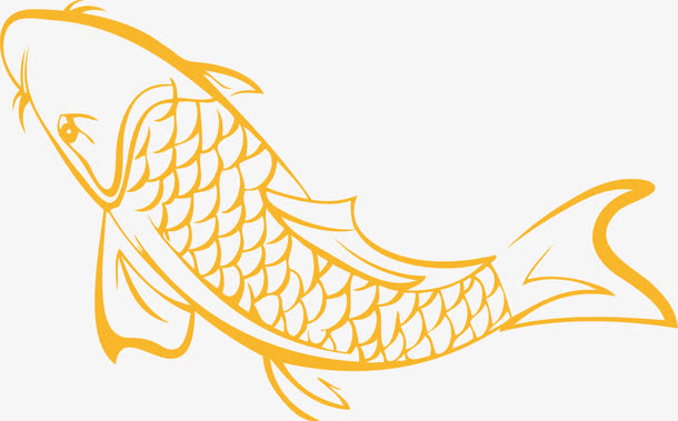 透明手绘金色鲤鱼素材图PNG图片
