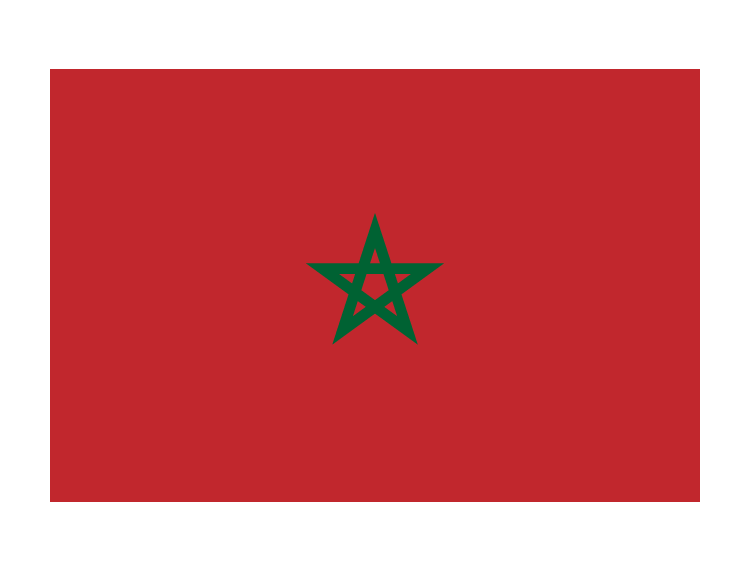 摩洛哥国旗矢量素材下载