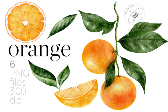 精品柑橘类水果水彩元素插画源文件,编号:82626091