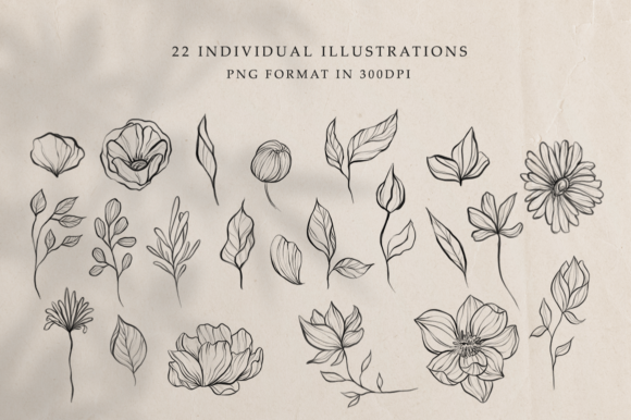 精品植物素描花卉线条艺术插画源文件,编号:82621603