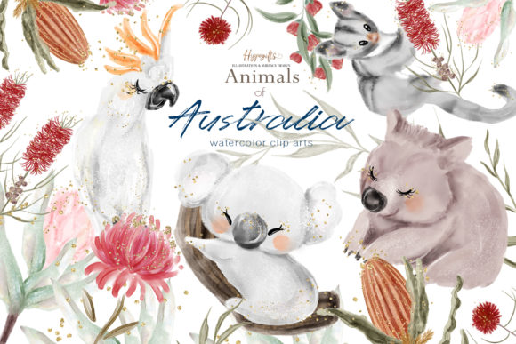精品澳大利亚考拉动物插画水彩包源文件,编号:82631398