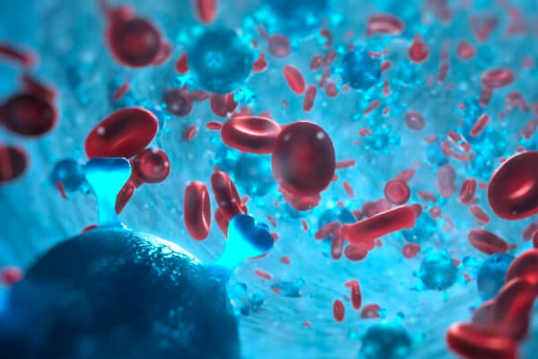最新AE血细胞三维场景动画视频教程,编号:82625869