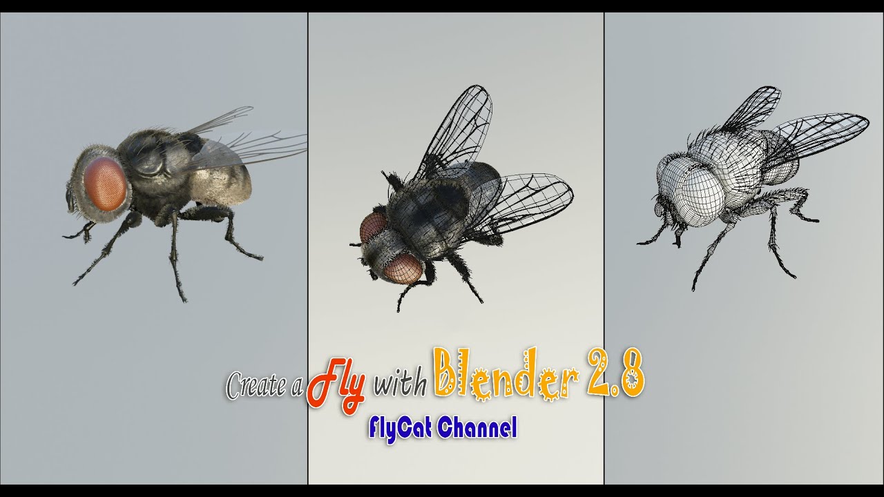 在Blender中创建一只苍蝇视频教程