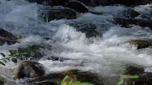 山里的河水翻滚视频