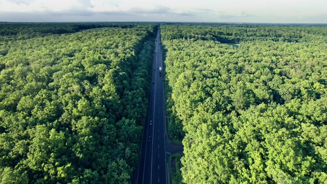 4K大森林中间的高速公路视频