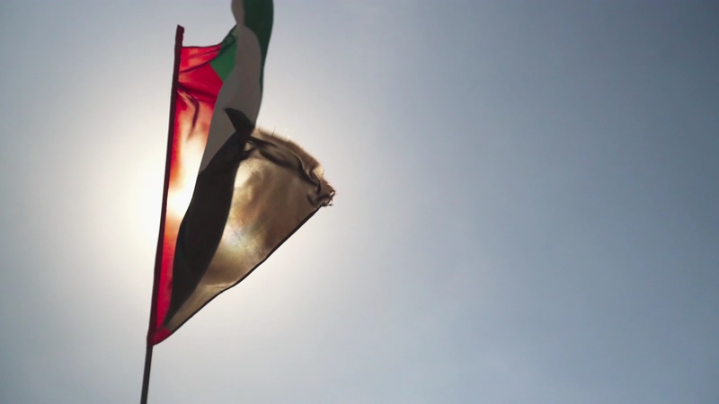 4K浅蓝色夏日天空下随风飘扬的阿联酋国旗