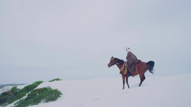 4K沙漠里骑马的人看到绿洲视频素材