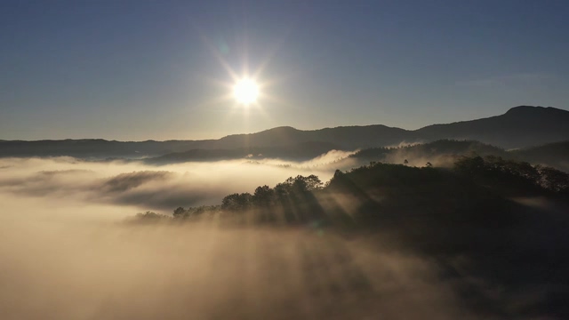 日出太阳光云雾森林视频素材