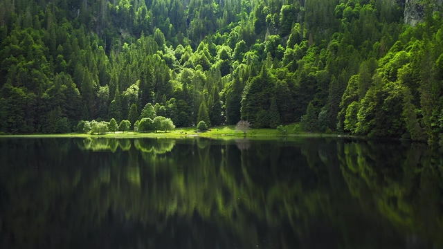 4K风景湖面上的森林视频素材