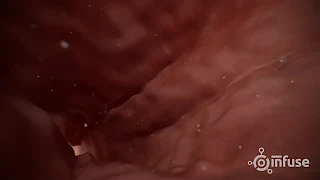 胎儿发育视频素材3D医疗动画视频素材