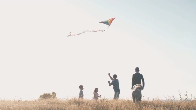 户外视频素材，在放风筝的人们和小狗奔跑