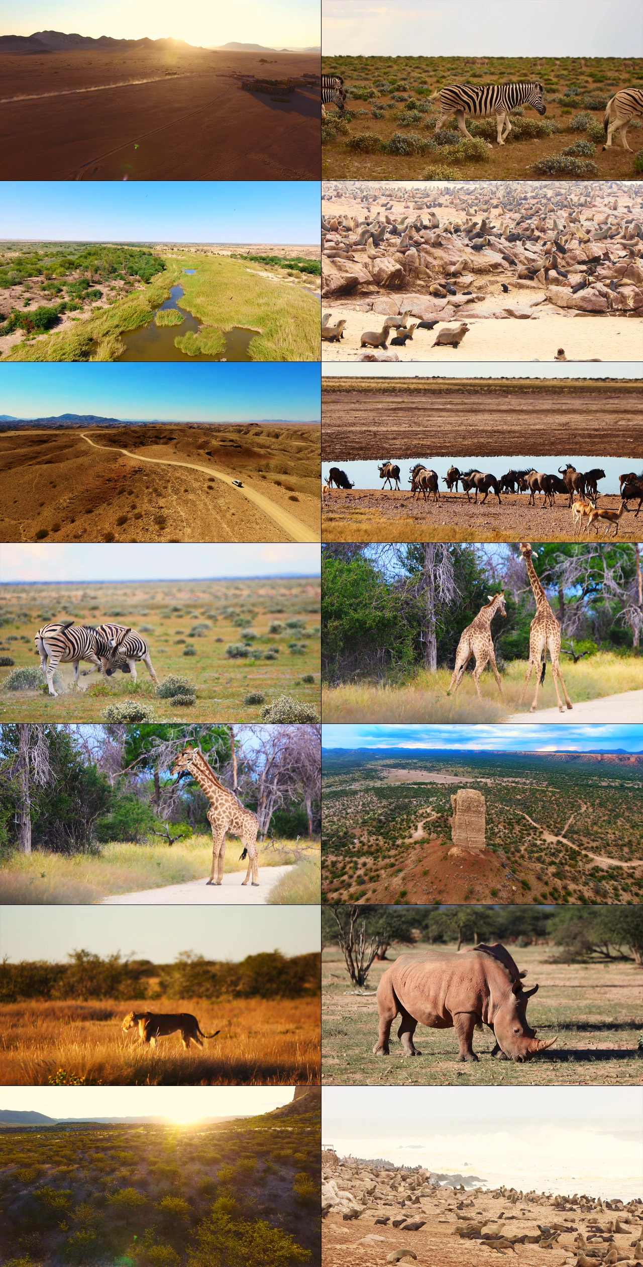 自然与野生动物4K视频素材,纳米比亚超清