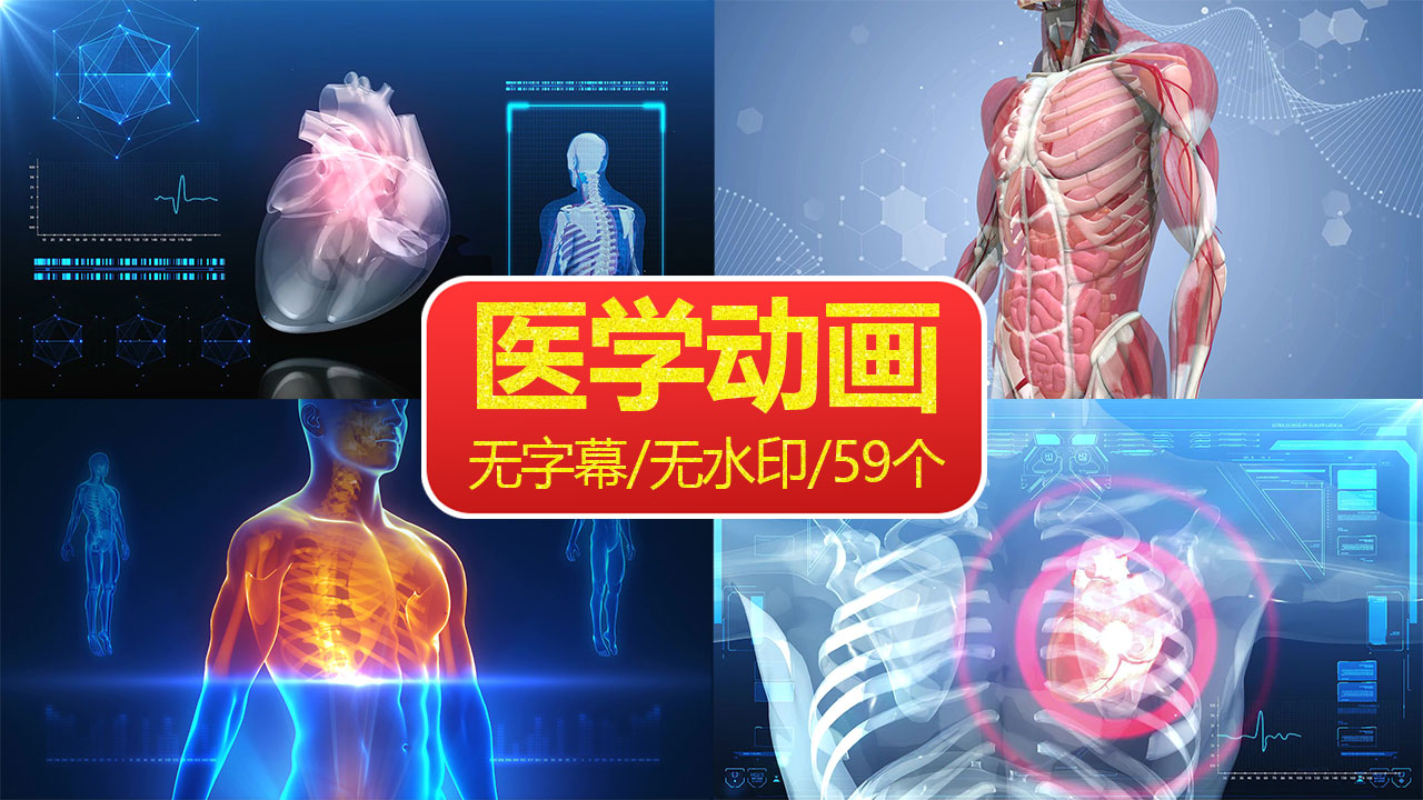 59个3D医疗动画视频素材打包下载,医学动画珍藏版大合集