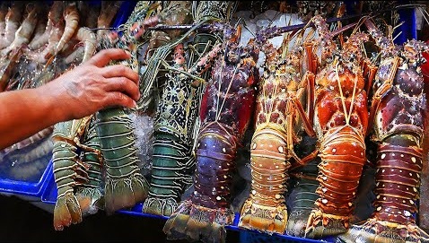 海鲜视频素材泰国街头小吃烤龙虾